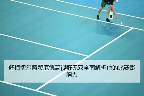舒梅切尔盛赞厄德高视野无双全面解析他的比赛影响力 - NGSPORTS