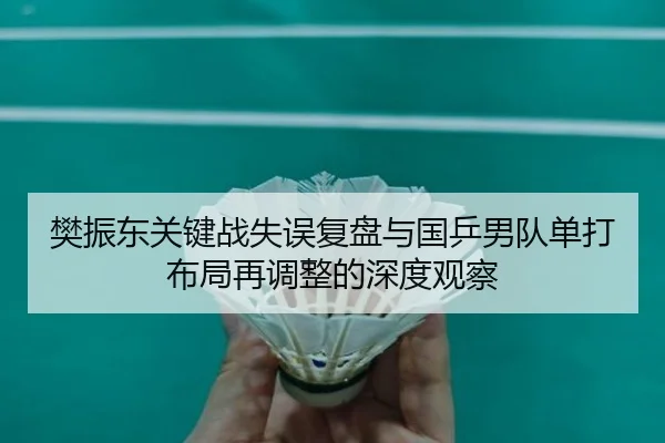 樊振东关键战失误复盘与国乒男队单打布局再调整的深度观察 - NGSPORTS